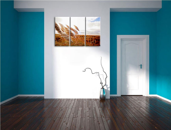 Schönes Schilf in den Dünen Spezial 3-Teiler Leinwandbild 120x80 Bild auf Leinwand, XXL riesige Bild