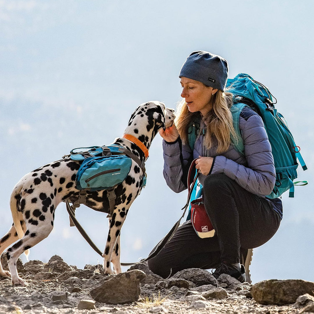 Kurgo Go Stuff-It Futterbeutel, Hält Hunde-Leckerlis frisch, Ideal für Hundetrainings, 11 cm breite
