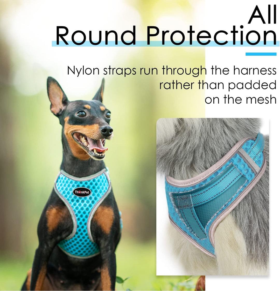 ThinkPet No-Pull Hundegeschirr Leine Set, Atmungsaktiv Brustgeschirr für Kleine Mittlere Grosse Hund