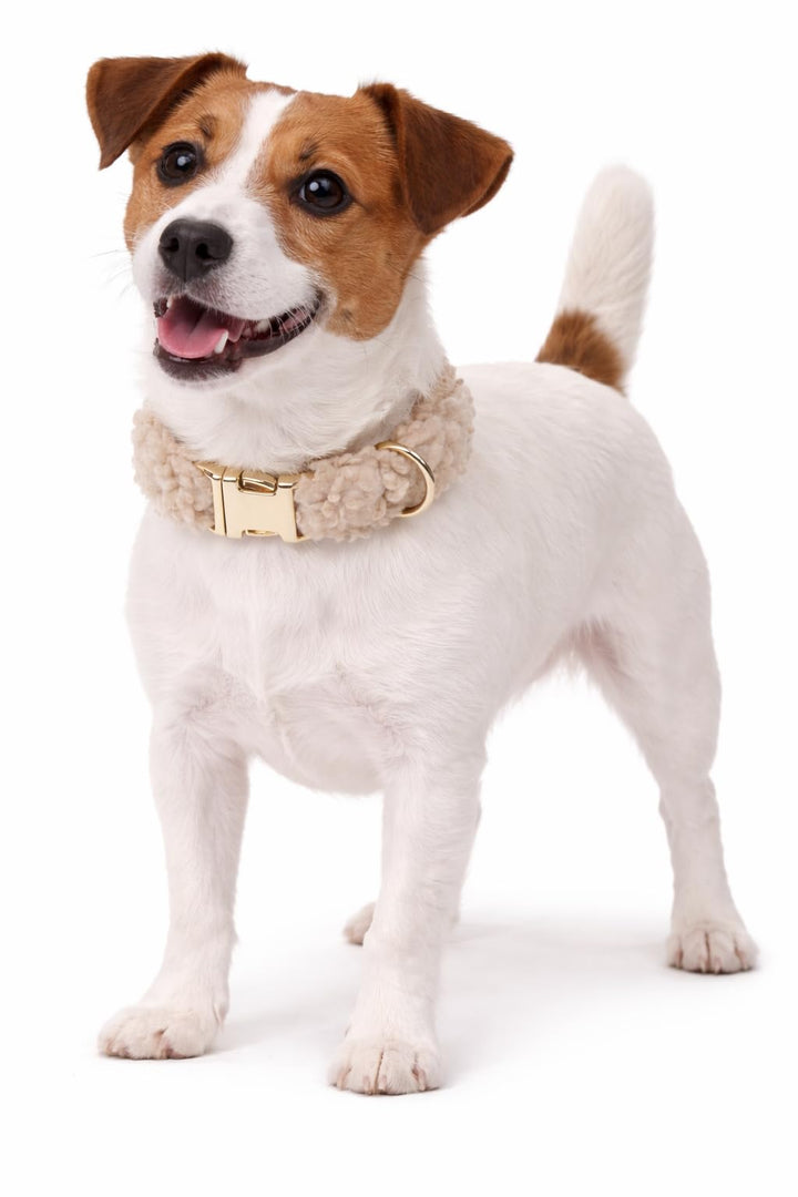 Halsband Hund - hundehalsband - Flamingo Pookie Fleece Beige S | 31-50cm x 20mm x 5mm, Beige S | 31-