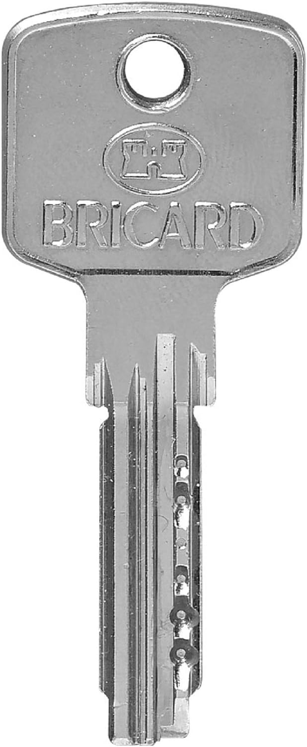 Bricard 15106 Zylinder A6, 30+40, 5 Schlüssel, vernickelt