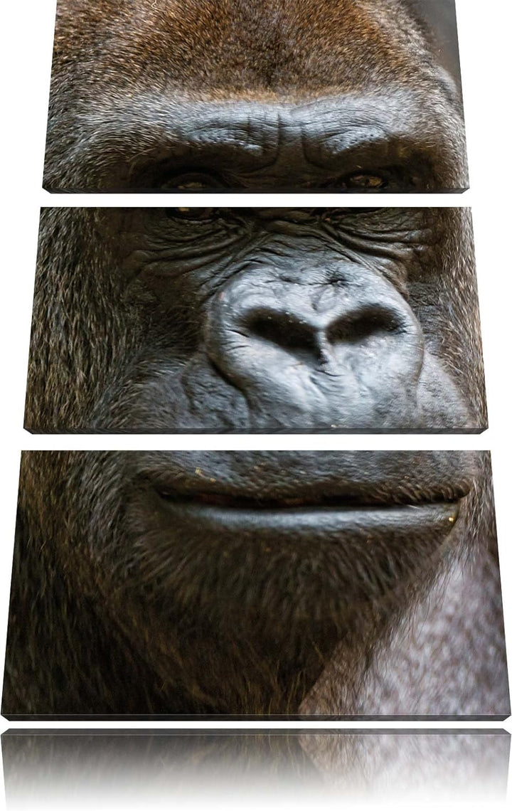 Pixxprint stolzer Gorilla als Leinwandbild/Grösse: 3 Teilig (120x80) / Wandbild/Kunstdruck/fertig be
