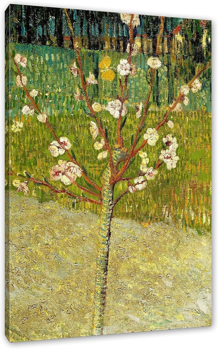 Vincent Van Gogh - Blühender Mandelbaum als Leinwandbild / Grösse: 100x70 cm / Wandbild / Kunstdruck
