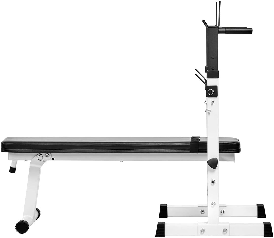 Bad Company Hantelbank mit Hantelablage inkl. Dip-Station I Klappbare Schrägbank für das Homegym I M