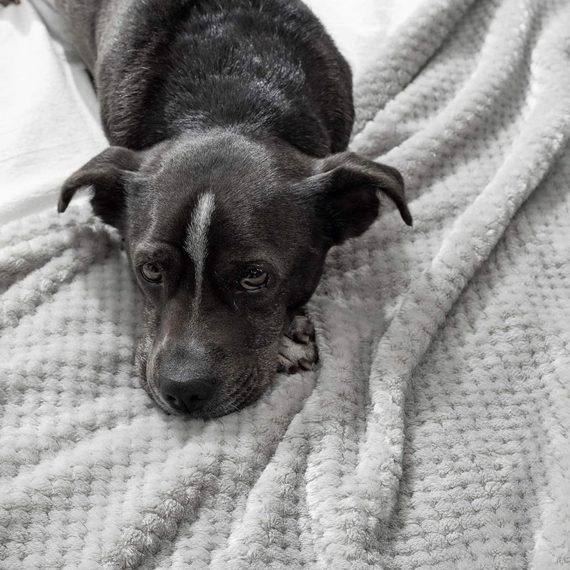 MIULEE Kuscheldecke Granulat Fleecedecke Flanell Decke Weich Flauschig Einfarbig Wohndecken Couchdec