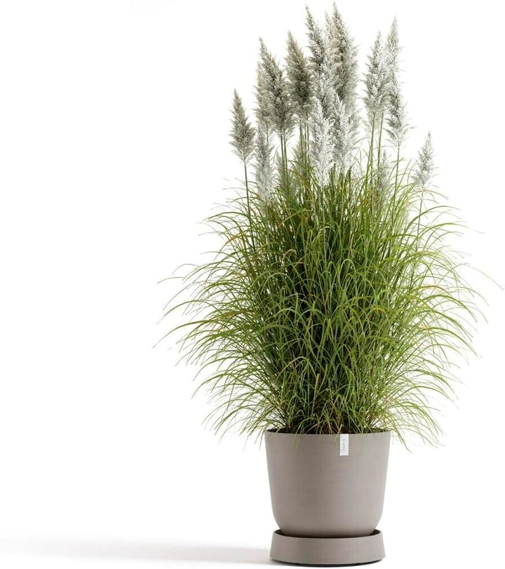 Ecopots Untersetzer rollbar für Blumentopf Oslo 45 braungrau rund - Durchmesser innen 35 cm/aussen 4