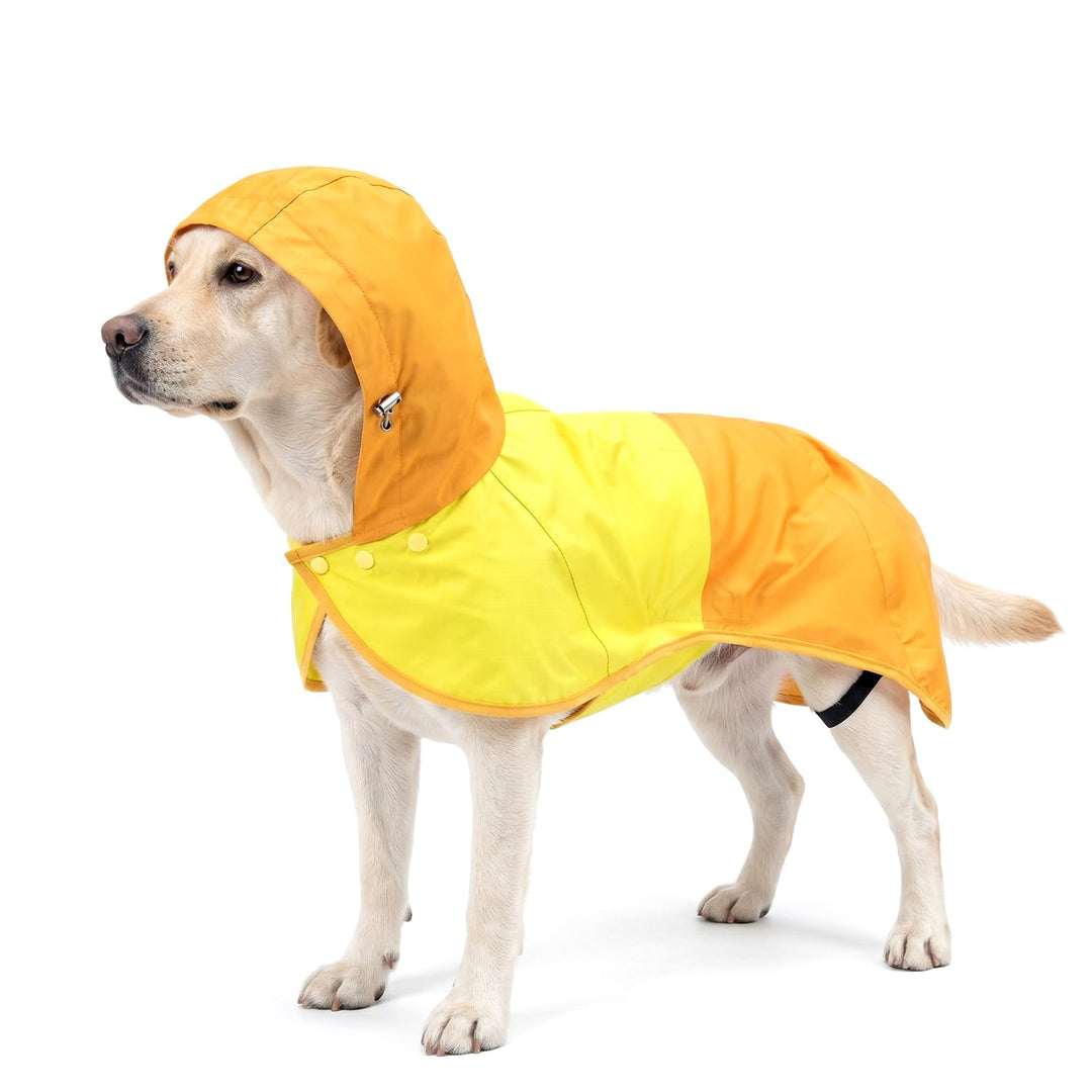 Regenmantel Hund, Regenjacke Hund wasserdicht mit Verstellbarer Kapuze &amp; elastischen Beinbändern – L