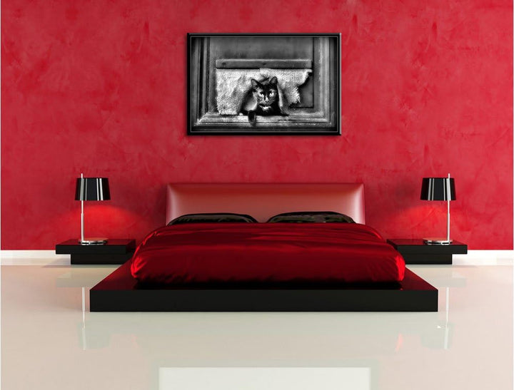 Pixxprint Monocrome, Schwarze Katze durch Hundeklappe, Format: 100x70 auf Leinwand, 100x70