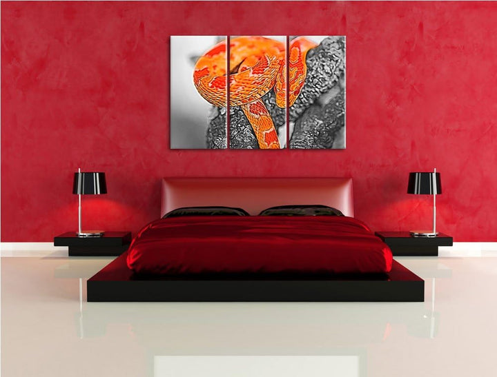 schöne ruhende Kornnatter schwarz/weiss Deluxe 3-Teiler Leinwandbild 120x80 Bild auf Leinwand, XXL r