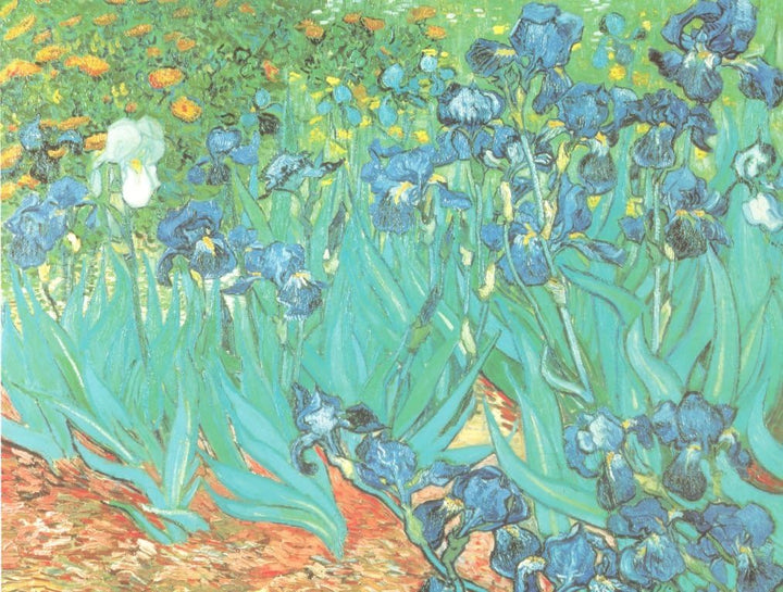 VON LILIENFELD Regenschirm | Vincent Van Gogh: Iris | Doppelte Bespannung | Aussen Schwarz - Innen B