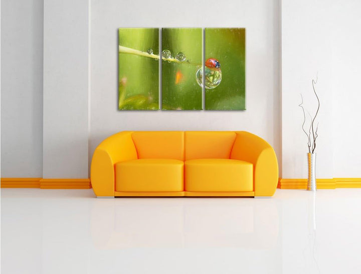 Pixxprint Marienkäfer als Leinwandbild/Grösse: 3 Teilig (120x80) cm/Wandbild/Kunstdruck/fertig bespa