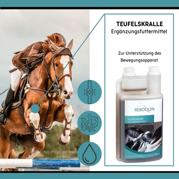 Rebopharm ReboQuin Teufelskralle 1 Liter | Gelenkgesundheit bei Pferden | Arthrose Entzündung Schwel