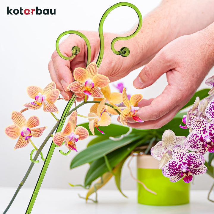 KOTARBAU® 2er Set Pflanzenstütze Grün PVC 58 cm Blumenstütze Rankhilfe Zimmerpflanzen Blumenstütze G