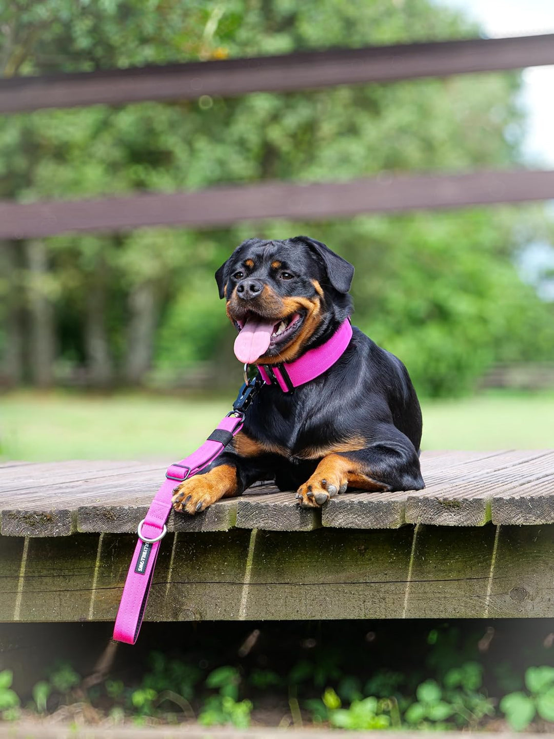 BullyBillows Traffic Hundeleine | Kurzgriff für Enge Kontrolle und Sicherheit | Gepolstert, robust u