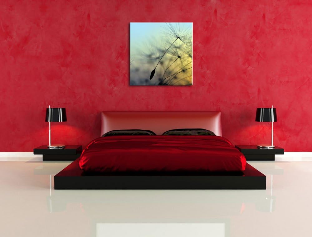 Pusteblumen mit Tautropfen, Format: 70x70 auf Leinwand, XXL riesige Bilder fertig gerahmt mit Keilra