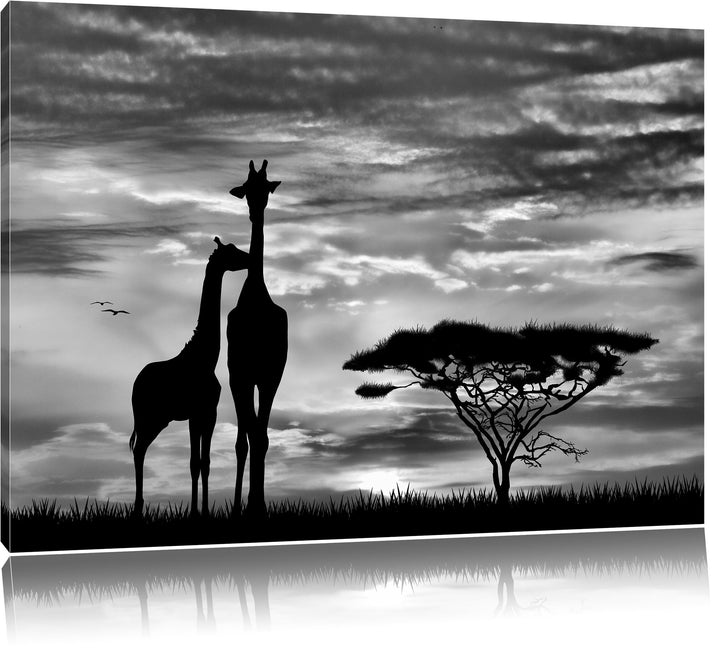 Pixxprint Giraffen im Sonnenuntergang / 100x70cm Leinwandbild bespannt auf Holzrahmen/Wandbild Kunst
