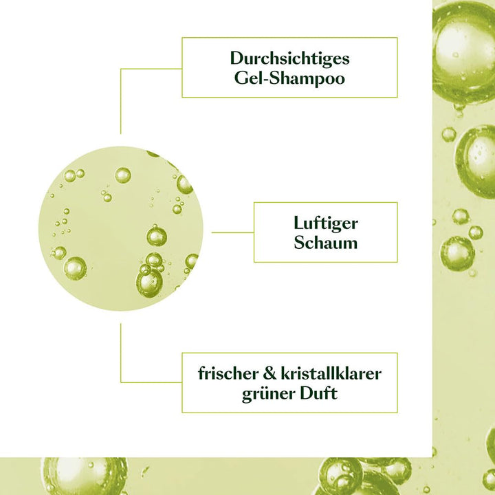 RENE FURTERER VOLUMEA Volumen Shampoo, 200 ml Shampoo Frisch 200 ml (1er Pack), Frisch 200 ml (1er P