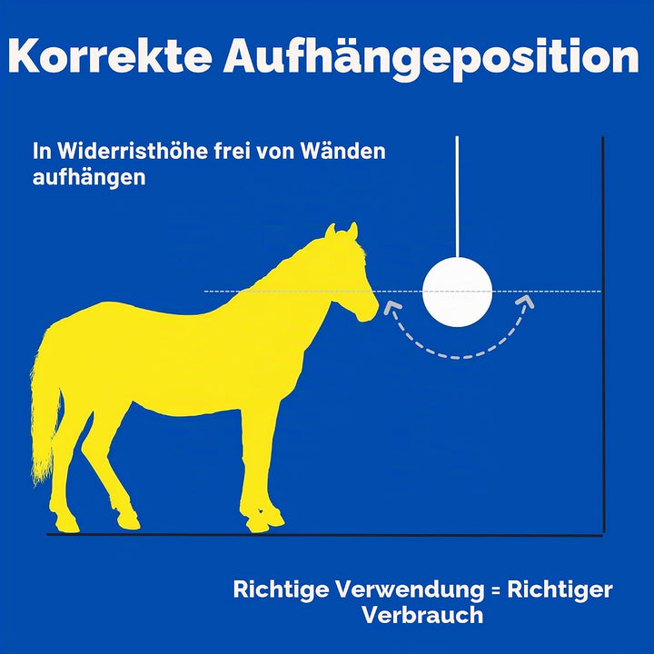 Likit Müslikugel 1,6 kg Apfel 1 stück (1er Pack), Apfel 1 stück (1er Pack)