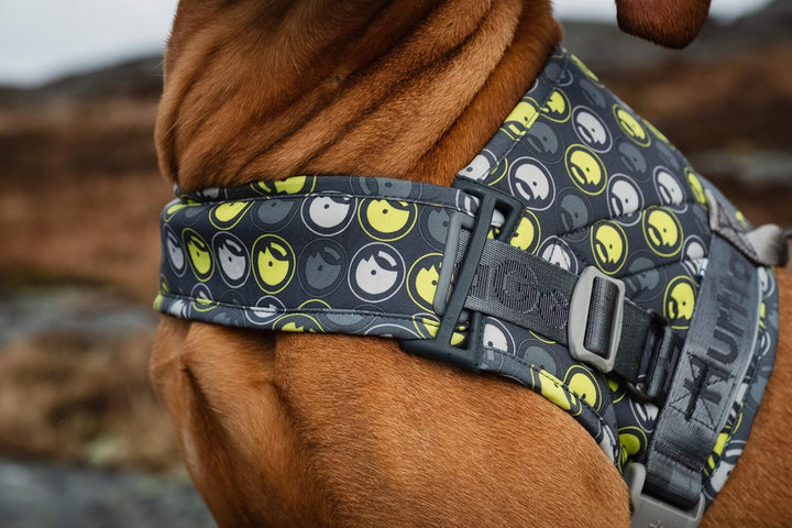 Hurtta Go Harness Hundegeschirr für kleine Hunde, gepolstert, vorne verstellbar, mit Griff und Refle