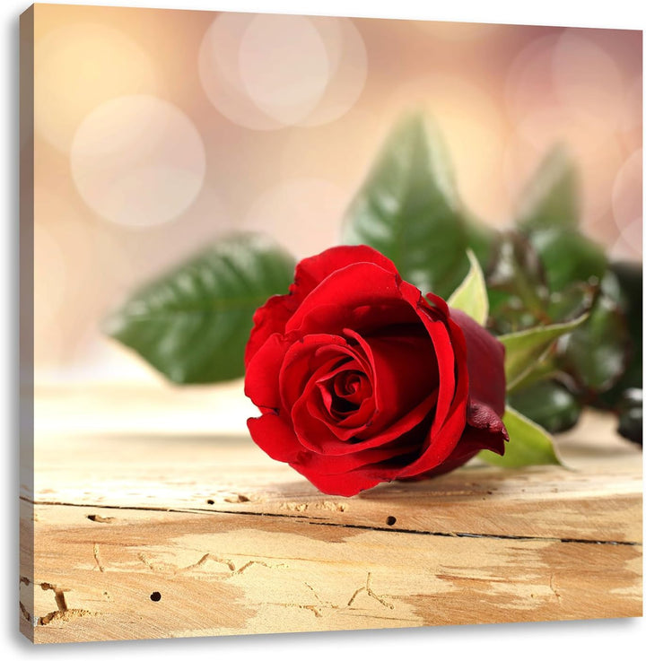 Pixxprint Rose auf Holztisch als Leinwandbild Quadratisch/Grösse: 70x70 / Wandbild/Kunstdruck/fertig