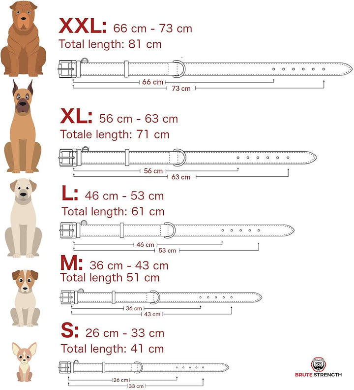 Brute Strength Hundehalsband aus Leder - Braun - XXL - 66-73 cm XXL - 66-73 cm Braun, XXL - 66-73 cm