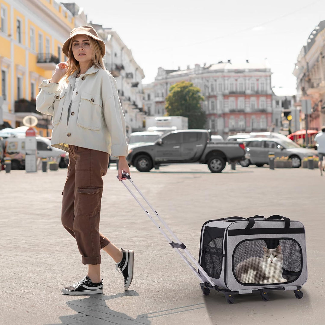 Transportbox Katze Gross bis 20kg, 2-in-1 Hunde Transportbox mit Rollen, Katzentransportbox Hundebox