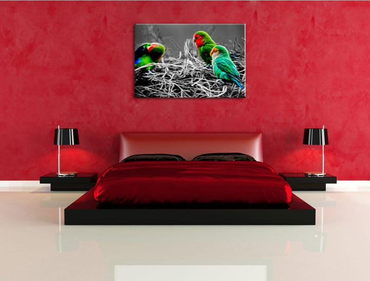 kleine süsse Papageien im Nest schwarz/weiss Deluxe Format: 100x70 cm auf Leinwand, XXL riesige Bild