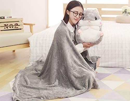 2 in 1 Hamster Kuscheltier Plüschtier Hamster Kissen mit Kuscheldecke Super Süsses Geschenk für Kind