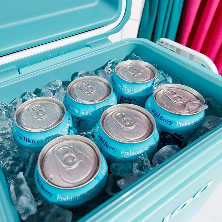 Igloo Tag Along - Passive Kühlbox - MaxCold Isolierung - Für Strand Picknick Remix Lagune, Remix Lag