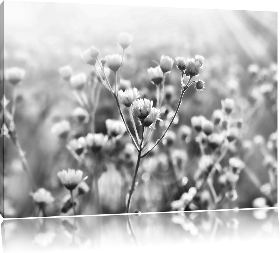 Pixxprint Romantische Blumenwiese / 100x70cm Leinwandbild bespannt auf Holzrahmen/Wandbild Kunstdruc