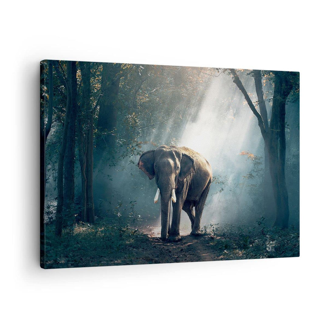 Bilder auf Leinwand elefant natur Leinwandbild mit Rahmen 70x50cm Wandbilder Dekoration Wohnzimmer S