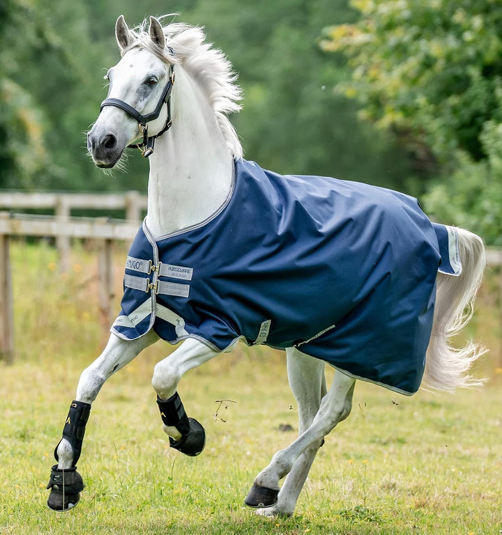 Horseware Amigo Bravo 12 Turnout Medium 250g - Navy/Blue/Strong Blue & Black 66 Marineblau/Titangrau