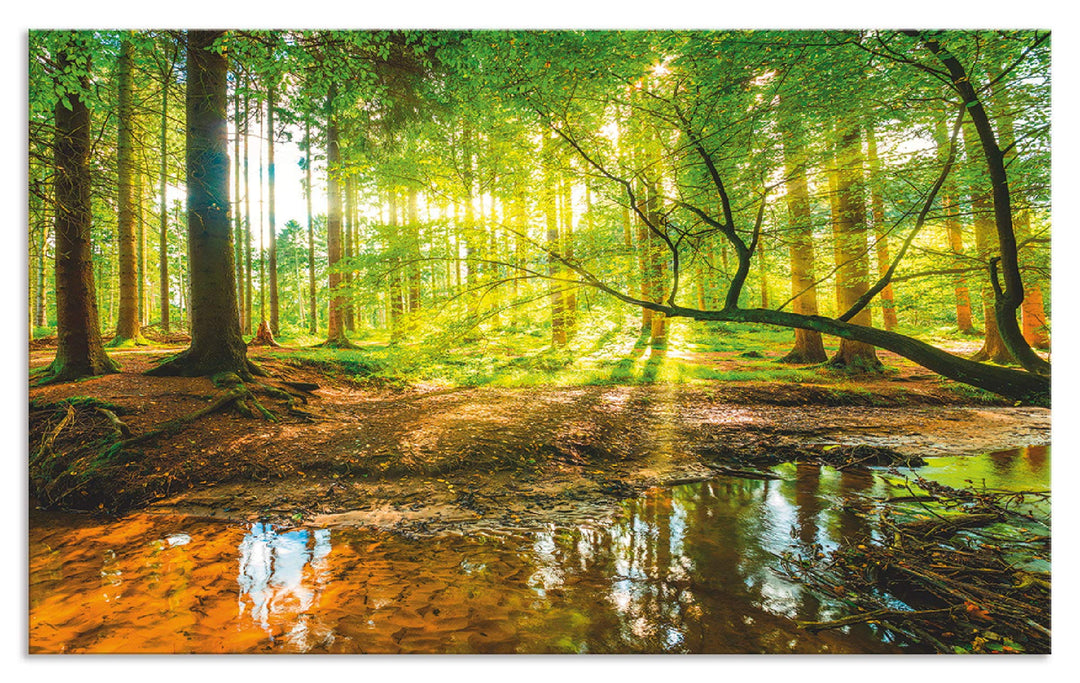 ARTland Spritzschutz Küche aus Alu für Herd Spüle 90x55 cm (BxH) Küchenrückwand mit Motiv Natur Land