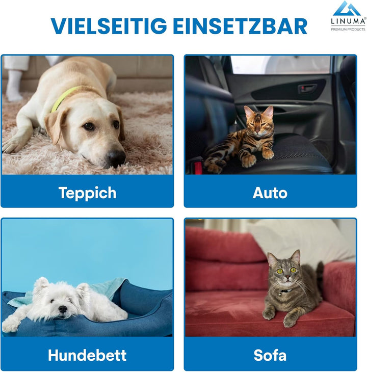 Fusselrolle PRO Tierhaare – extra Starke Aufnahme, wiederverwendbar – Hunde- & Katzenhaare – Sofa, B