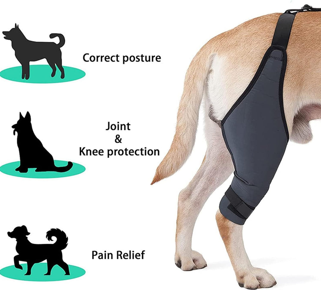 Qcwwy Hunde-Knieorthesen für das Hinterbein, Hunde-Hinterbein-Orthesen für Hunde mit ACL-Kniescheibe
