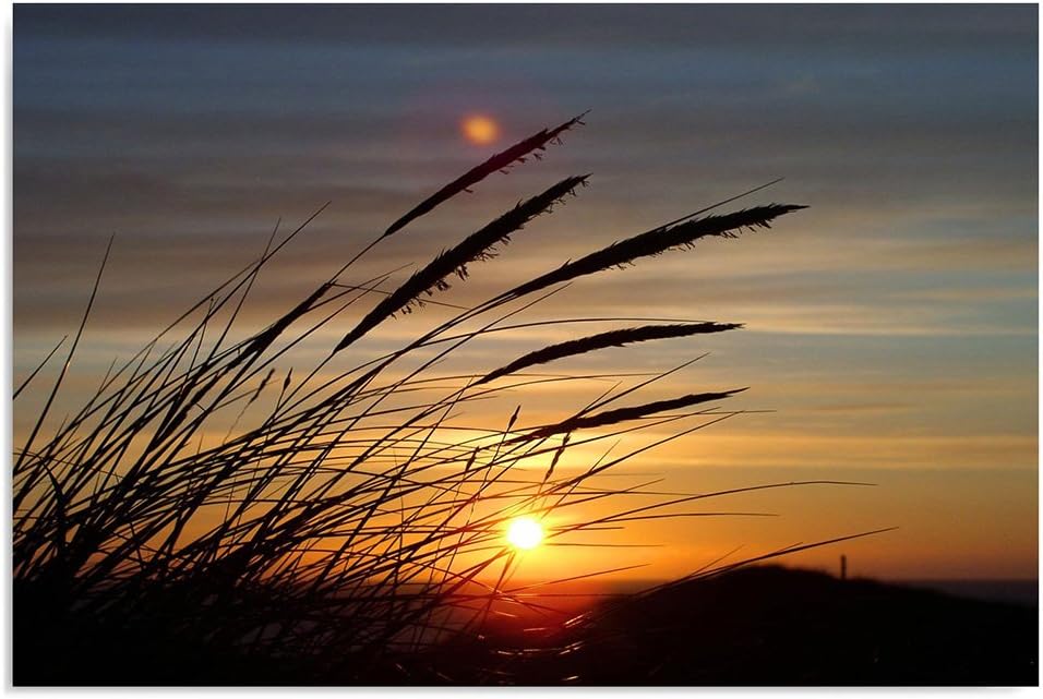 Feeby Frames. Wandbild - 1 Teilig - 60x80 cm, Leinwand Bild Leinwandbilder Bilder Wandbilder Kunstdr