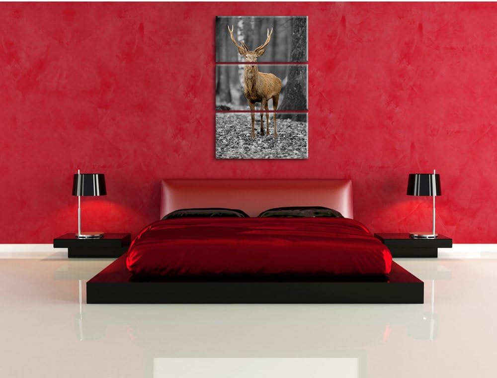 Pixxprint Schöner Hirsch im Wald Schwarz/Weiss 3-Teiler Leinwandbild 120x80 Bild auf Leinwand