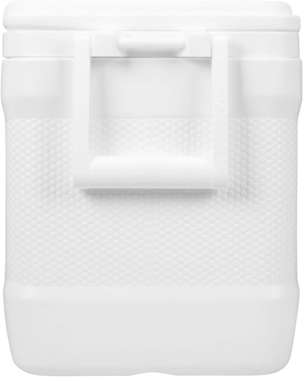 IGLOO Marine Contour 25 Kühlbox, 23 Liter, Weiss