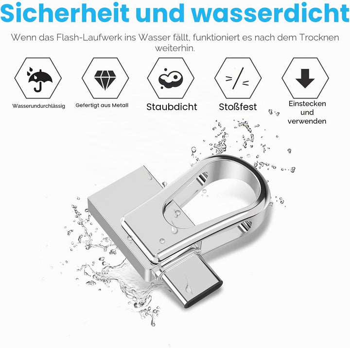 RAOYI USB C Stick 128GB Mini USB 3.0 & Type C 2-IN-1 OTG Flash Laufwerk Dual USB C Speicherstick Met
