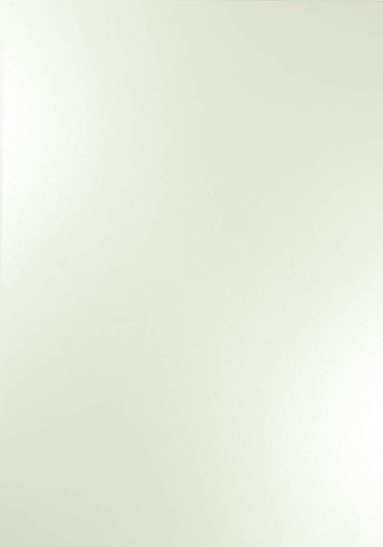 Netuno 100x Perlmutt-Milch-Weiss Bastel-Papier DIN A4 21 x 29,7 cm 120g Majestic Milk Perlmuttpapier
