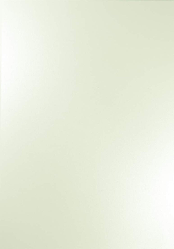 Netuno 100x Perlmutt-Milch-Weiss Bastel-Papier DIN A4 21 x 29,7 cm 120g Majestic Milk Perlmuttpapier