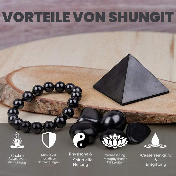 Elite Schungit Steine lose Naturstein Chakra Kristall Heilende Energie Karelia Russland grosse 100-G