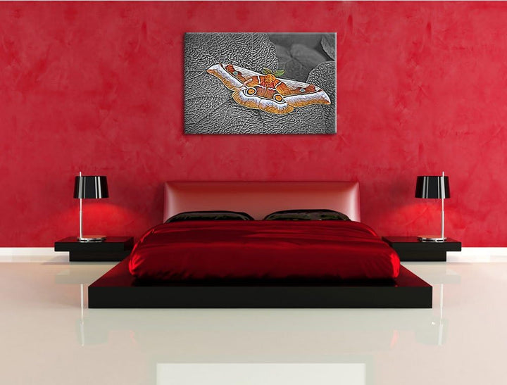 eleganter Schmetterling auf Blatt schwarz/weiss Deluxe Format: 100x70 cm auf Leinwand, XXL riesige B