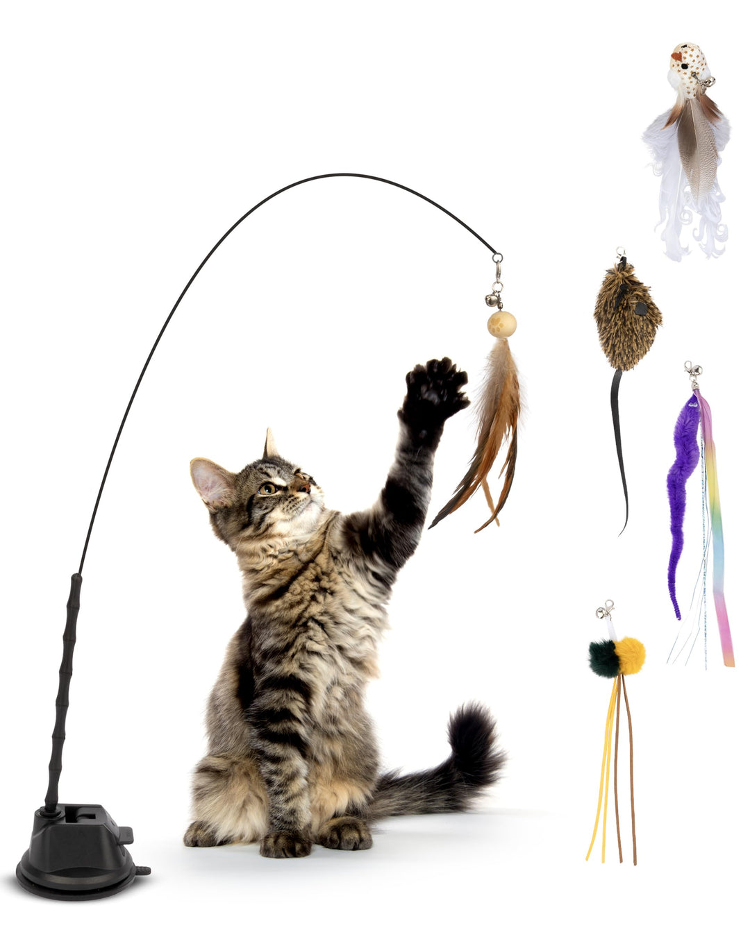 LENOK Katzenangel Spielzeug mit Saugnapf und Federn - Interaktives Katzenspielzeugset mit Vogelsimul