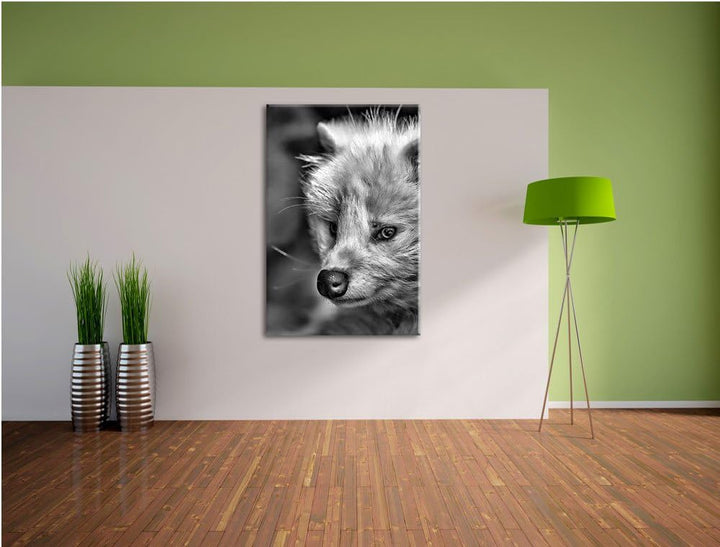 Pixxprint Monocrome, Polarfuchs in Höhle, Format: 100x70 auf Leinwand, riesige Bilder fertig gerahmt