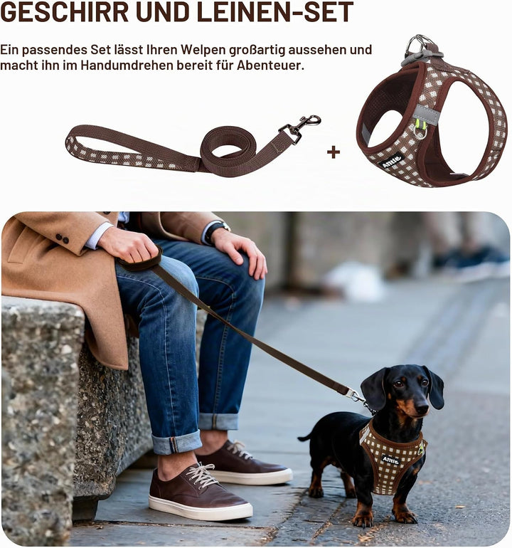 AIITLE Easy Walk Hundeweste, Geschirr und Leine, Set, Haustierbedarf, kein Ziehen, atmungsaktives Ne