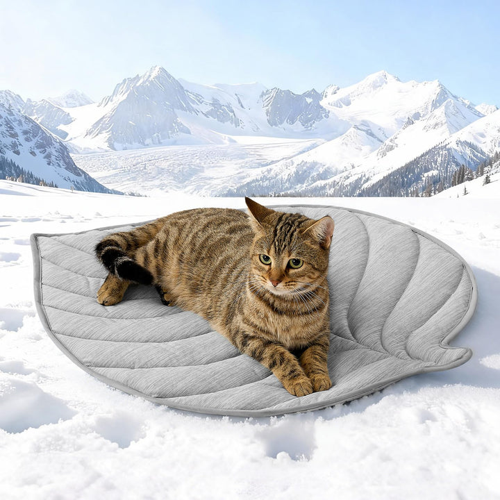 COZY KISS Kühlmatte Hunde &amp; Katzen 68x58cm, Kühldecke mit Blattform-Gewebe Q-Max>0.4, Selbstkühlende