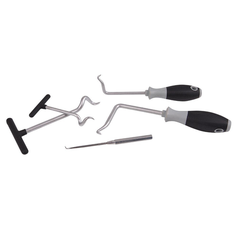 Hesselink SR-1000 Dicht-, O-Ring, Simmerring Demontage-Set