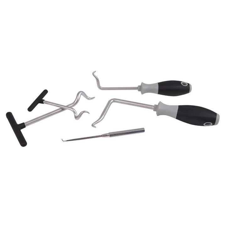 Hesselink SR-1000 Dicht-, O-Ring, Simmerring Demontage-Set