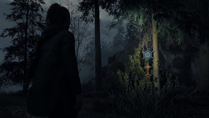 Alan Wake 2 Deluxe Edition - PS5 PlayStation 5, PlayStation 5